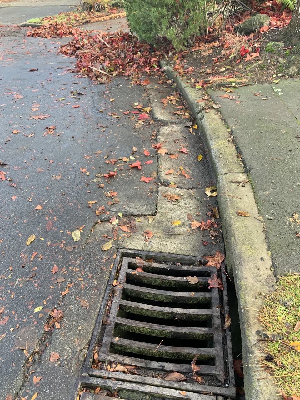 The photograph attached to this wastewater/stormwater report