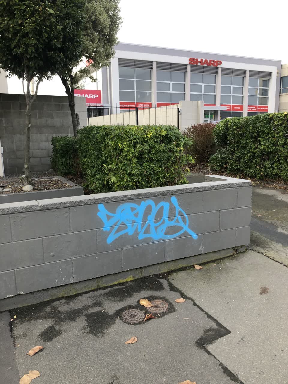 The photograph attached to this graffiti report
