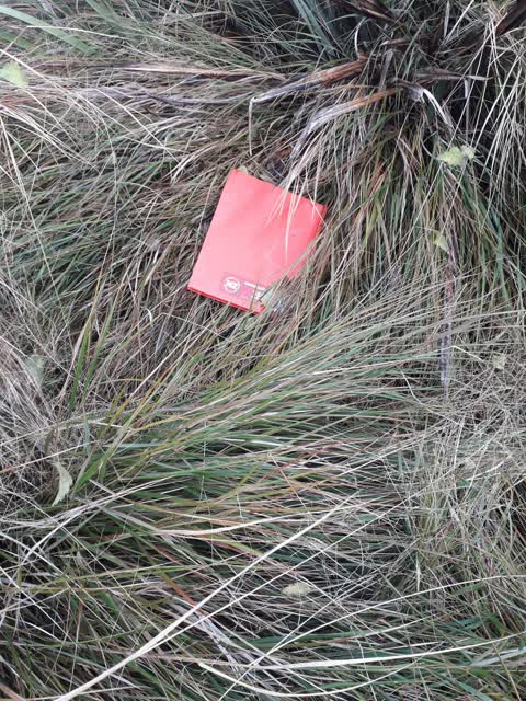Rubbish/Recycling, a report photo