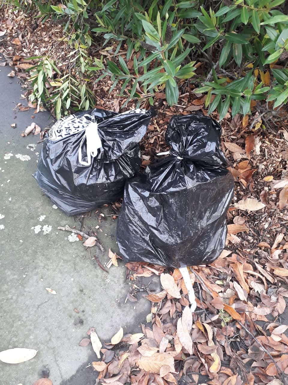 The photograph attached to this rubbish/recycling report