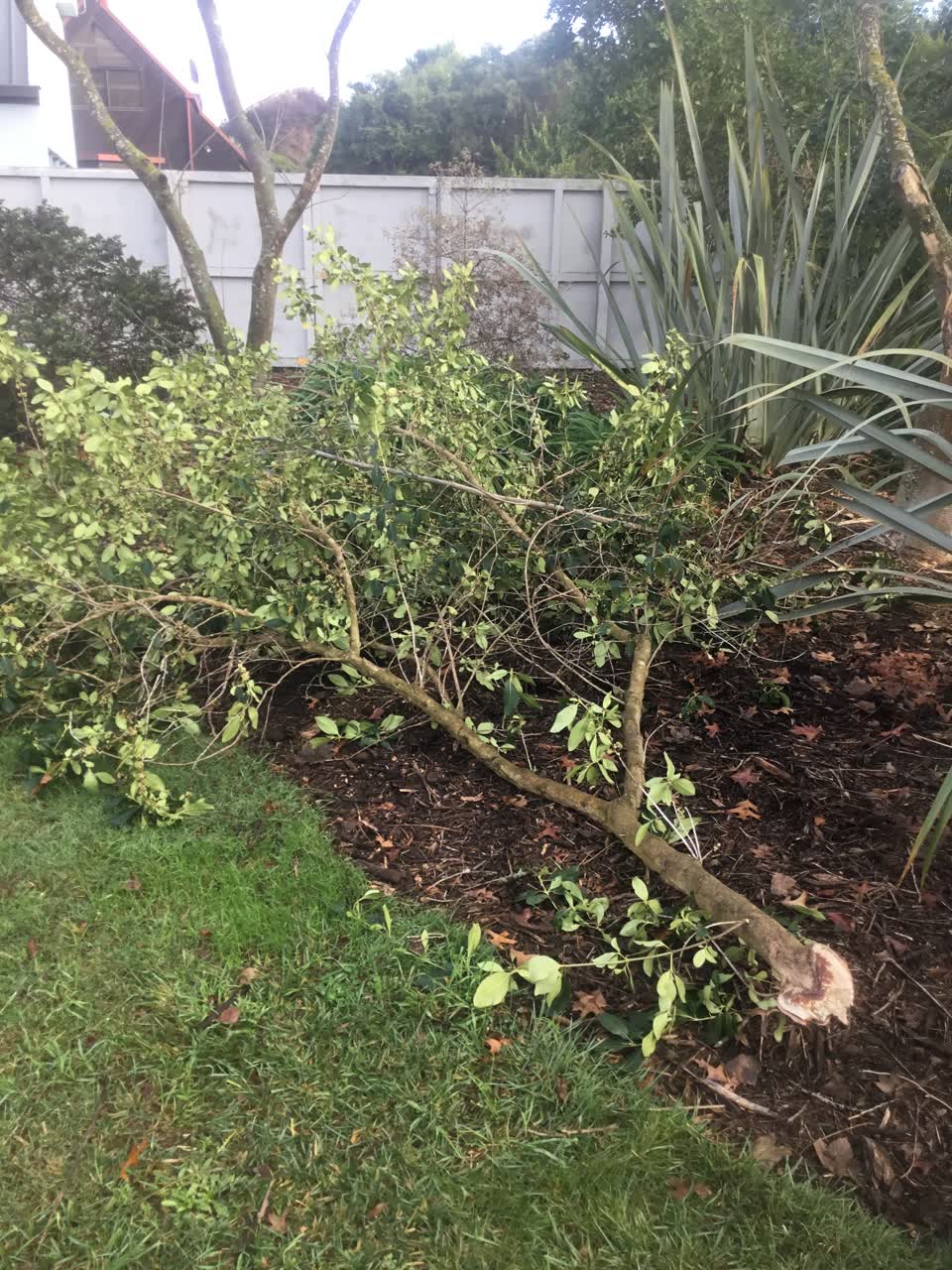 The photograph attached to this parks report