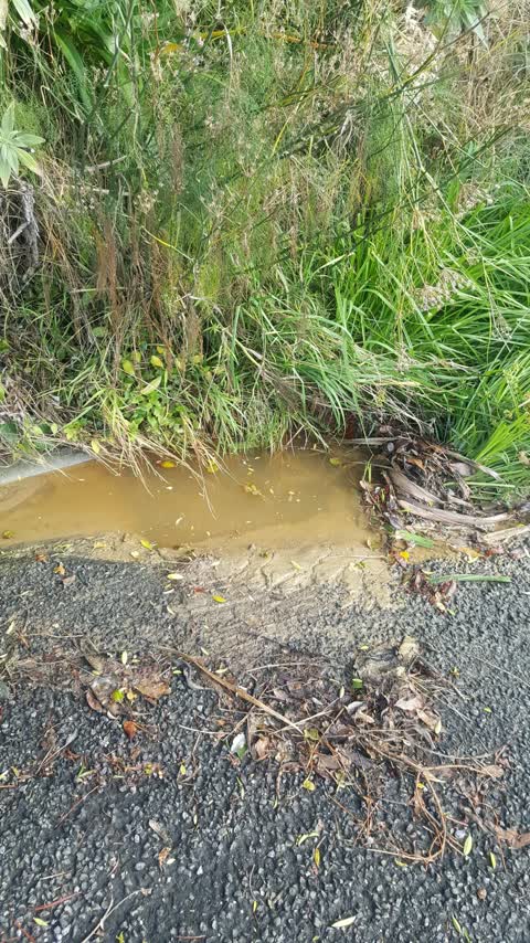 Wastewater/Stormwater, a report photo