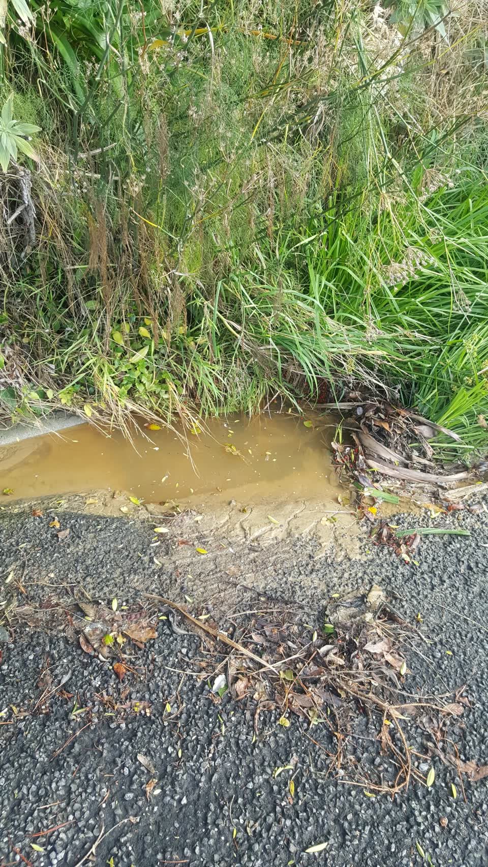 The photograph attached to this wastewater/stormwater report