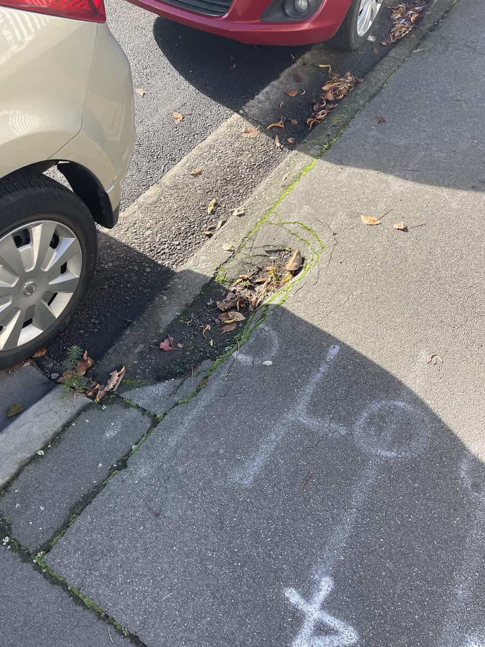 The photograph attached to this roading/streets report
