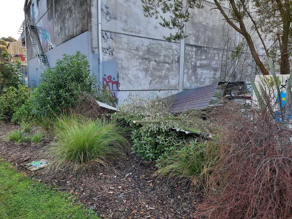 The photograph attached to this parks report