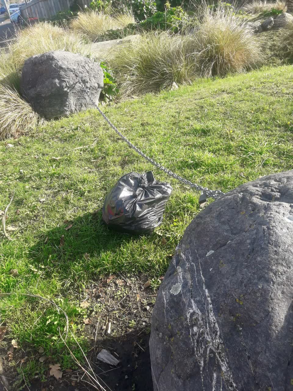 The photograph attached to this parks report
