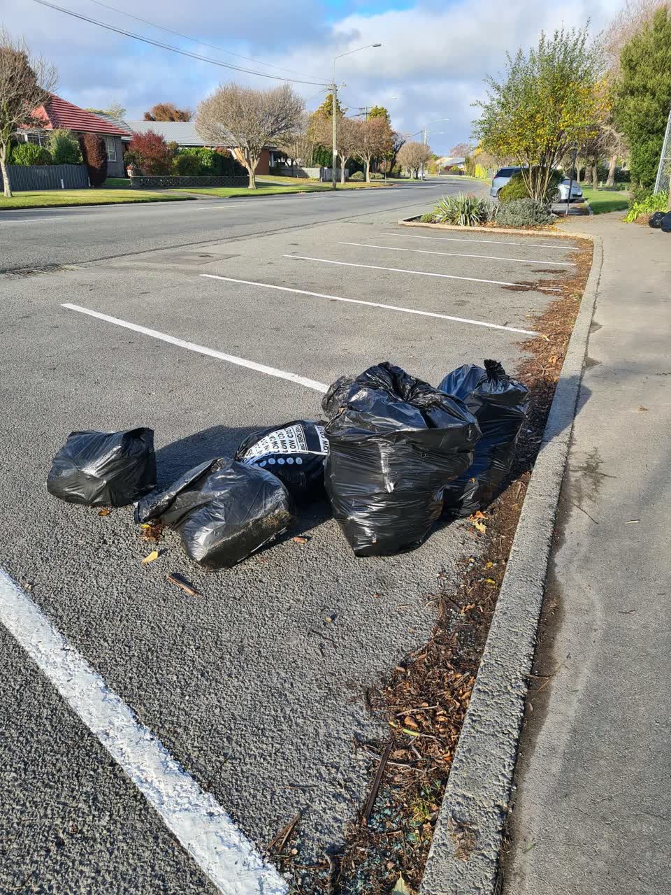 The photograph attached to this rubbish/recycling report
