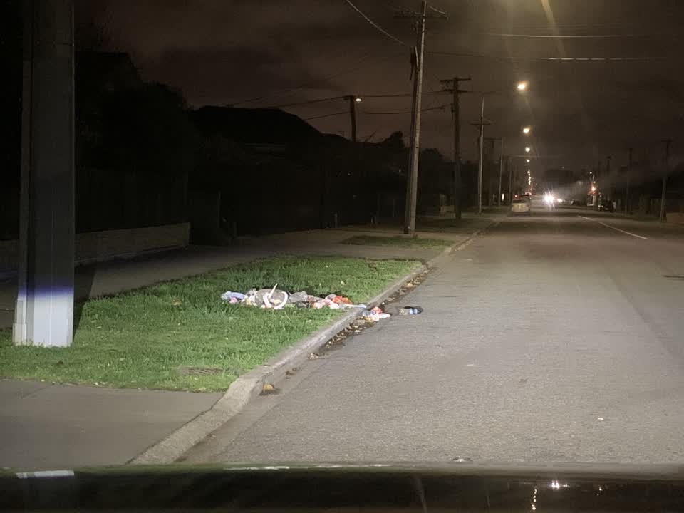 The photograph attached to this rubbish/recycling report