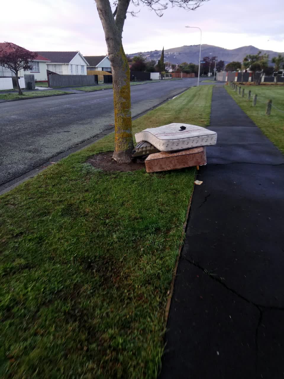 The photograph attached to this rubbish/recycling report