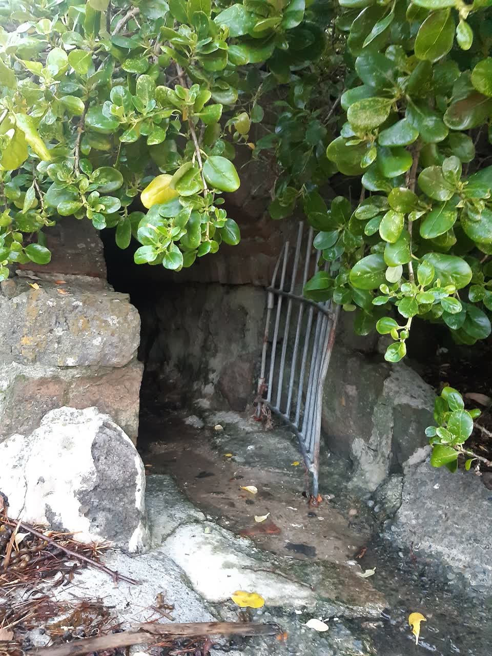 The photograph attached to this wastewater/stormwater report