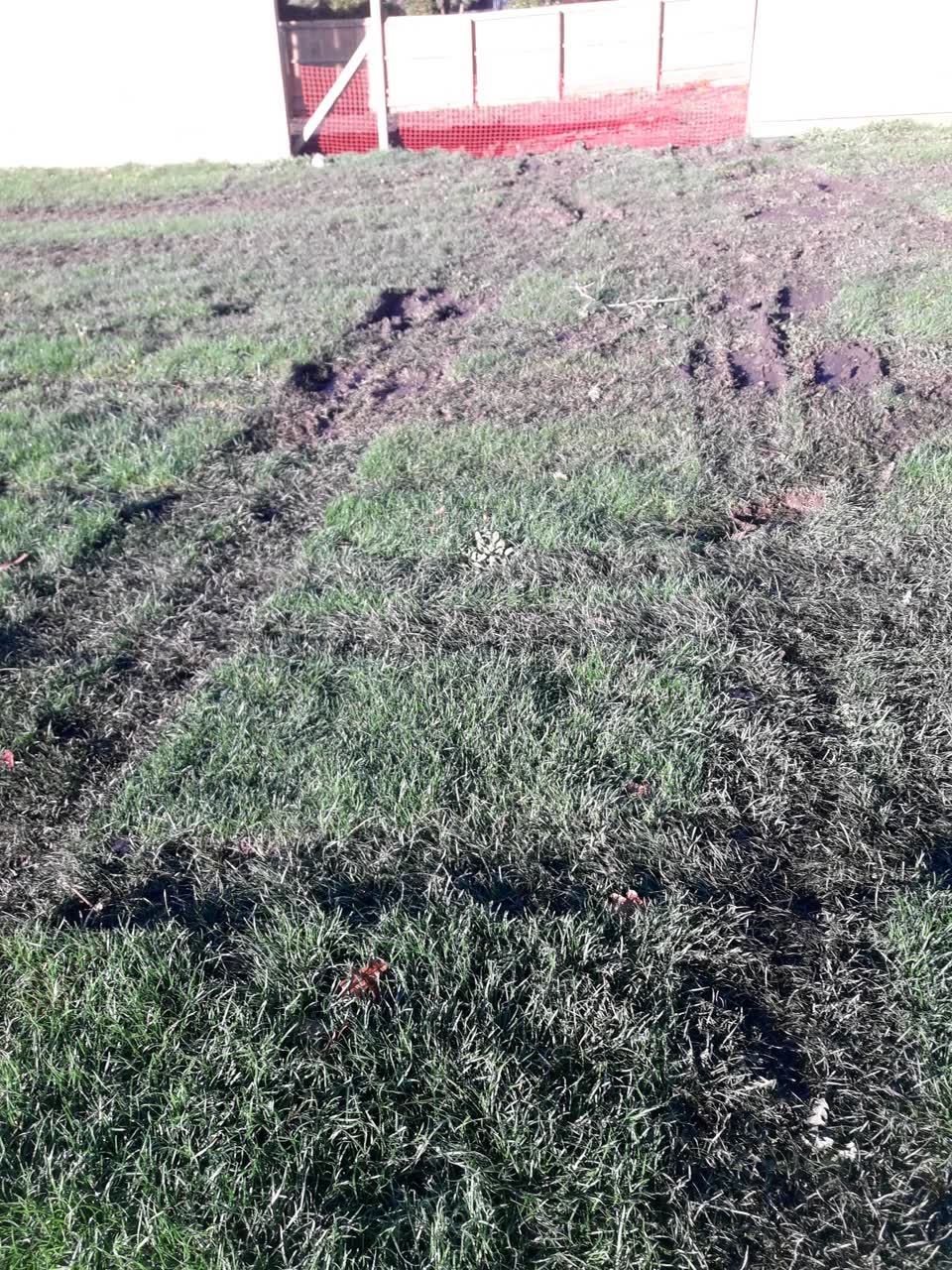 The photograph attached to this parks report