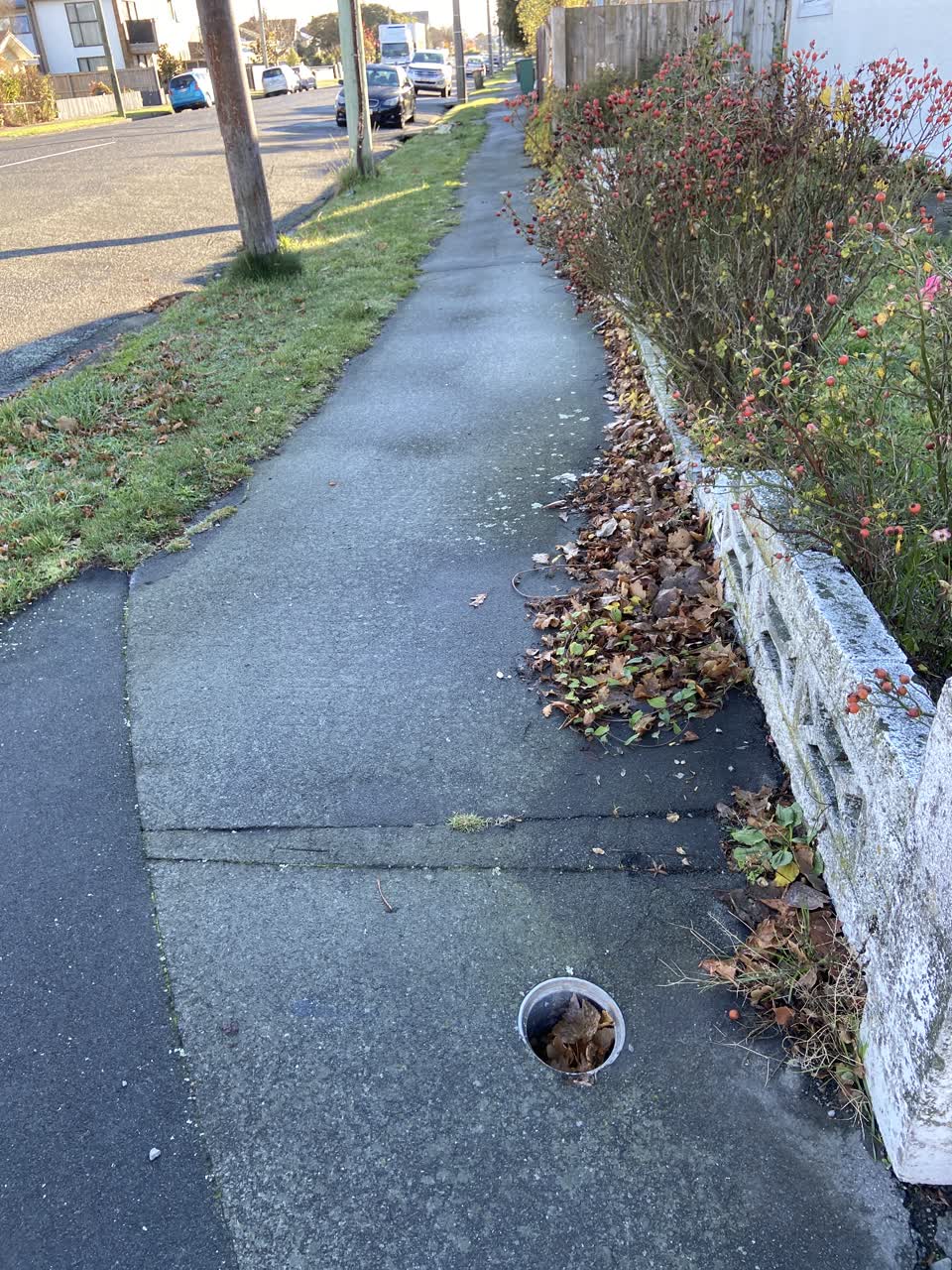 The photograph attached to this roading/streets report