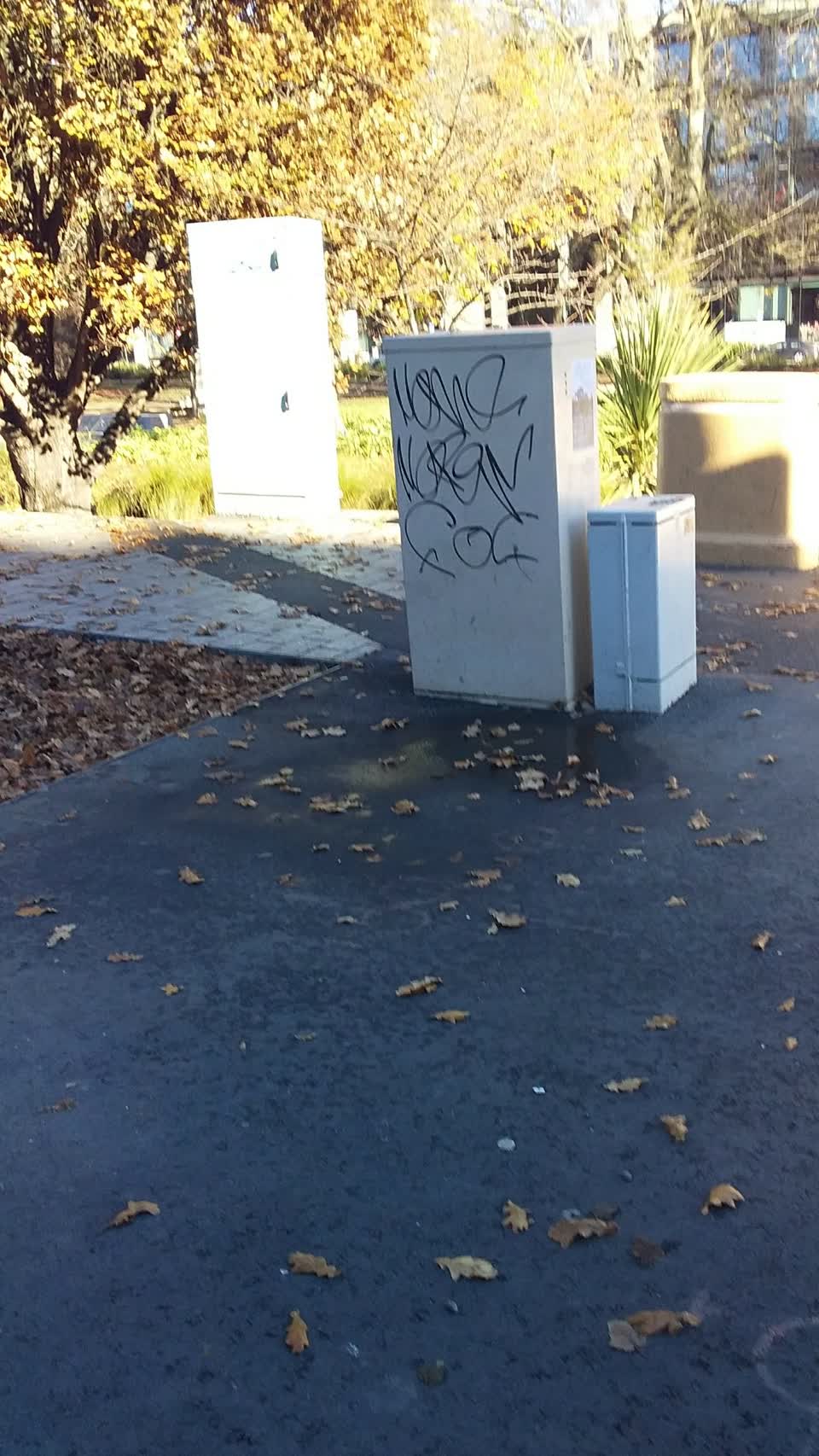 The photograph attached to this graffiti report