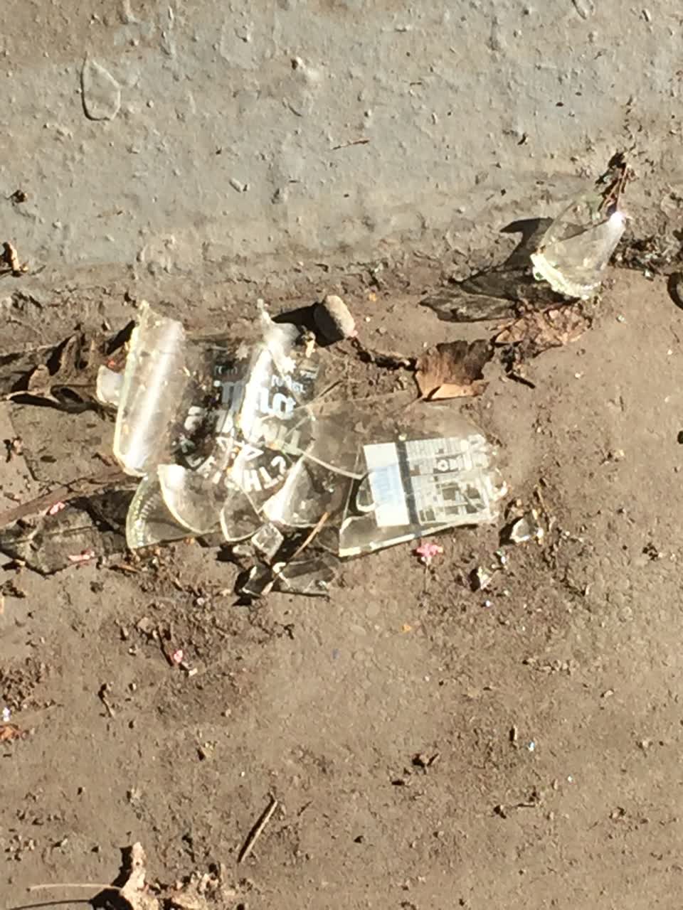 The photograph attached to this parks report