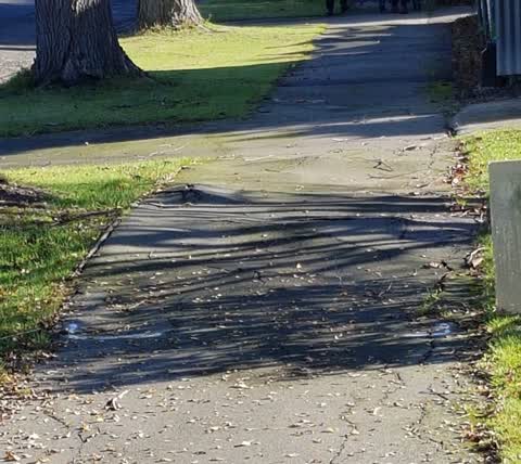 Roading/Streets, a report photo