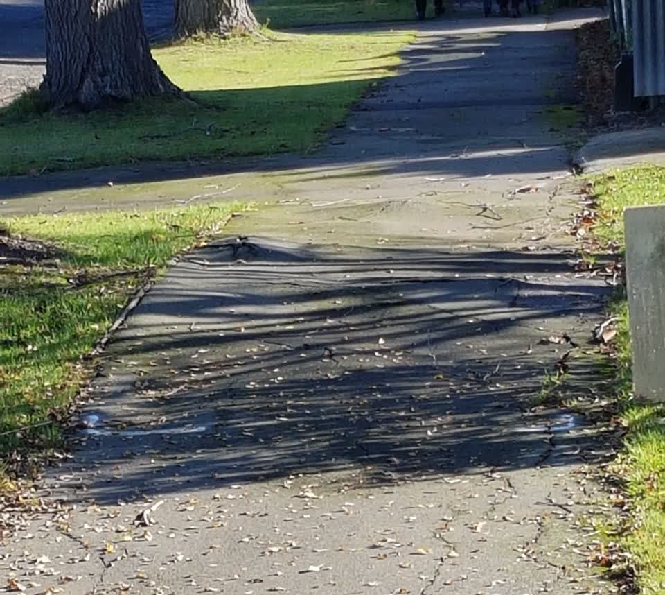 The photograph attached to this roading/streets report