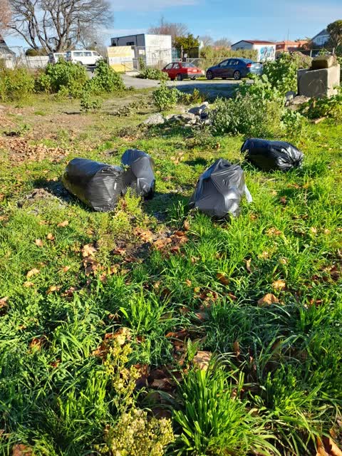 Rubbish/Recycling, a report photo