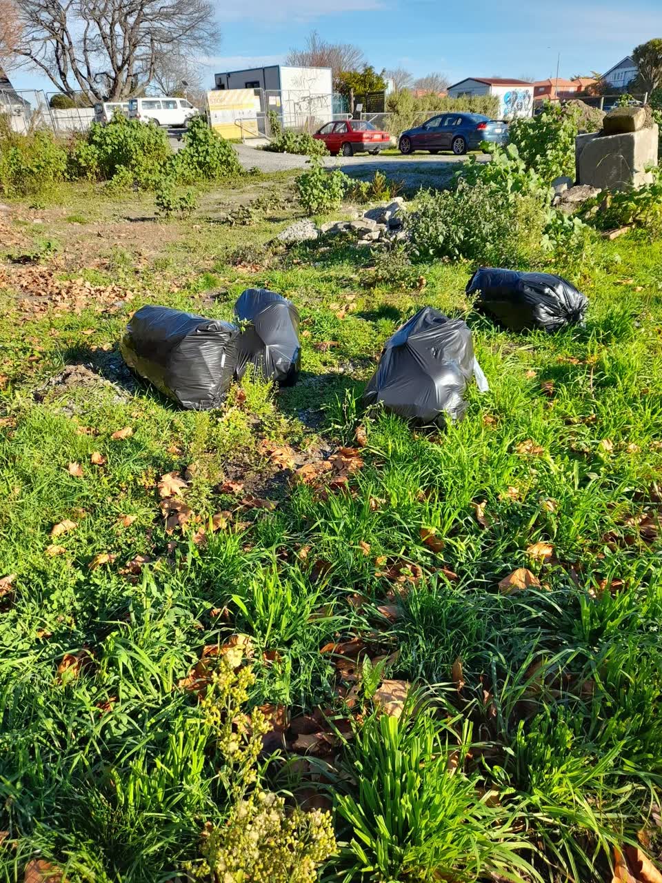 The photograph attached to this rubbish/recycling report