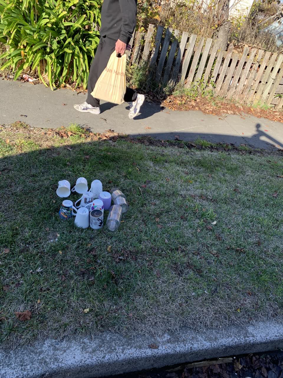 The photograph attached to this rubbish/recycling report