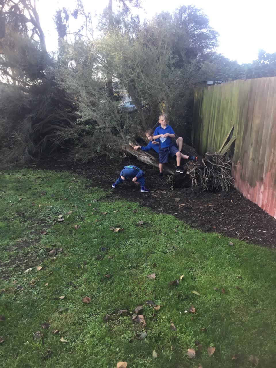 The photograph attached to this parks report