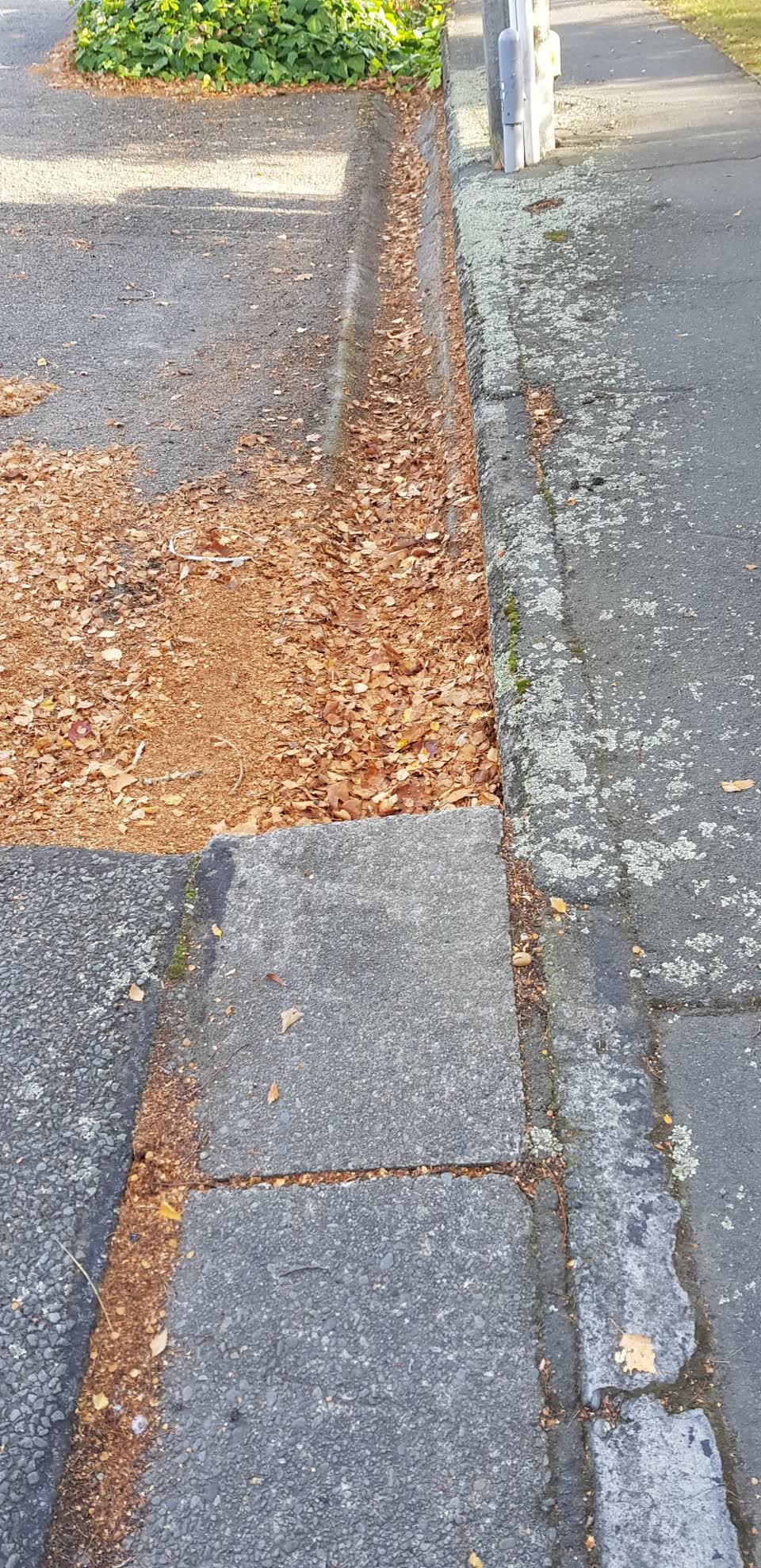 The photograph attached to this wastewater/stormwater report