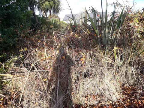 Parks, a report photo