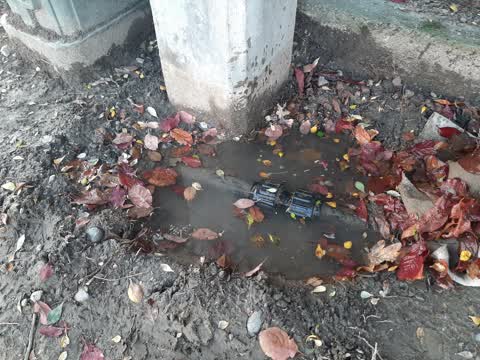 Water Leak, a report photo