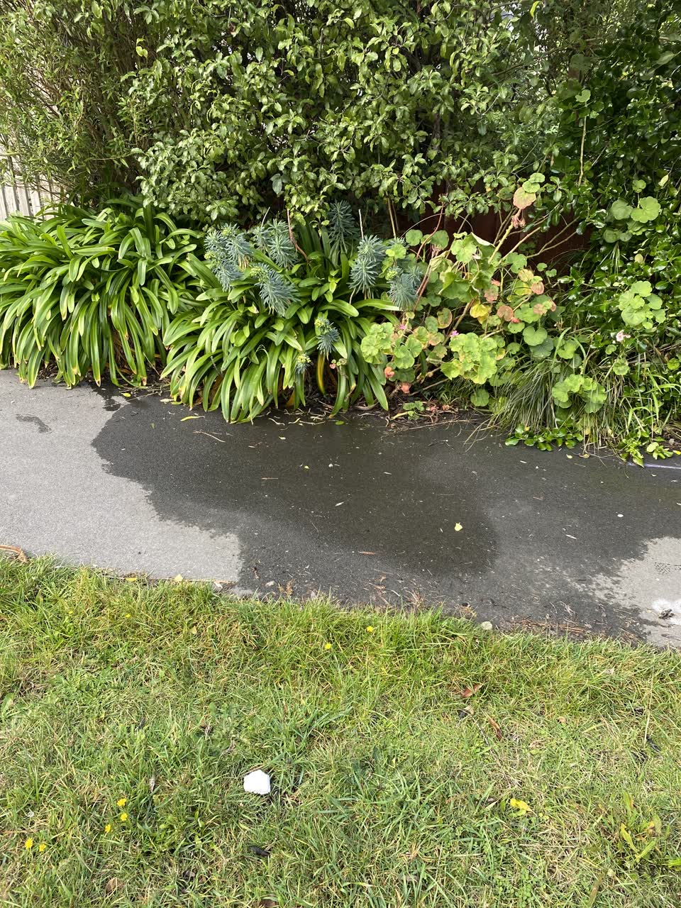 The photograph attached to this water leak report