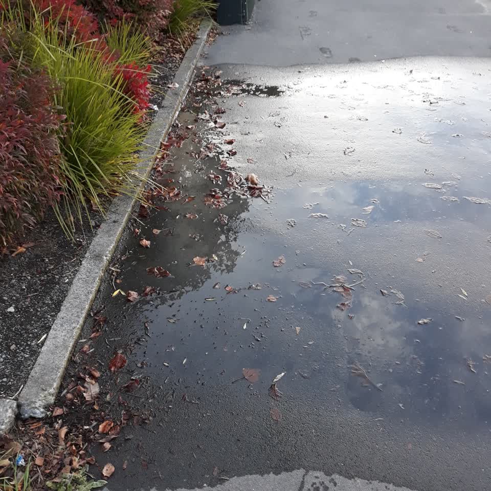 The photograph attached to this water leak report