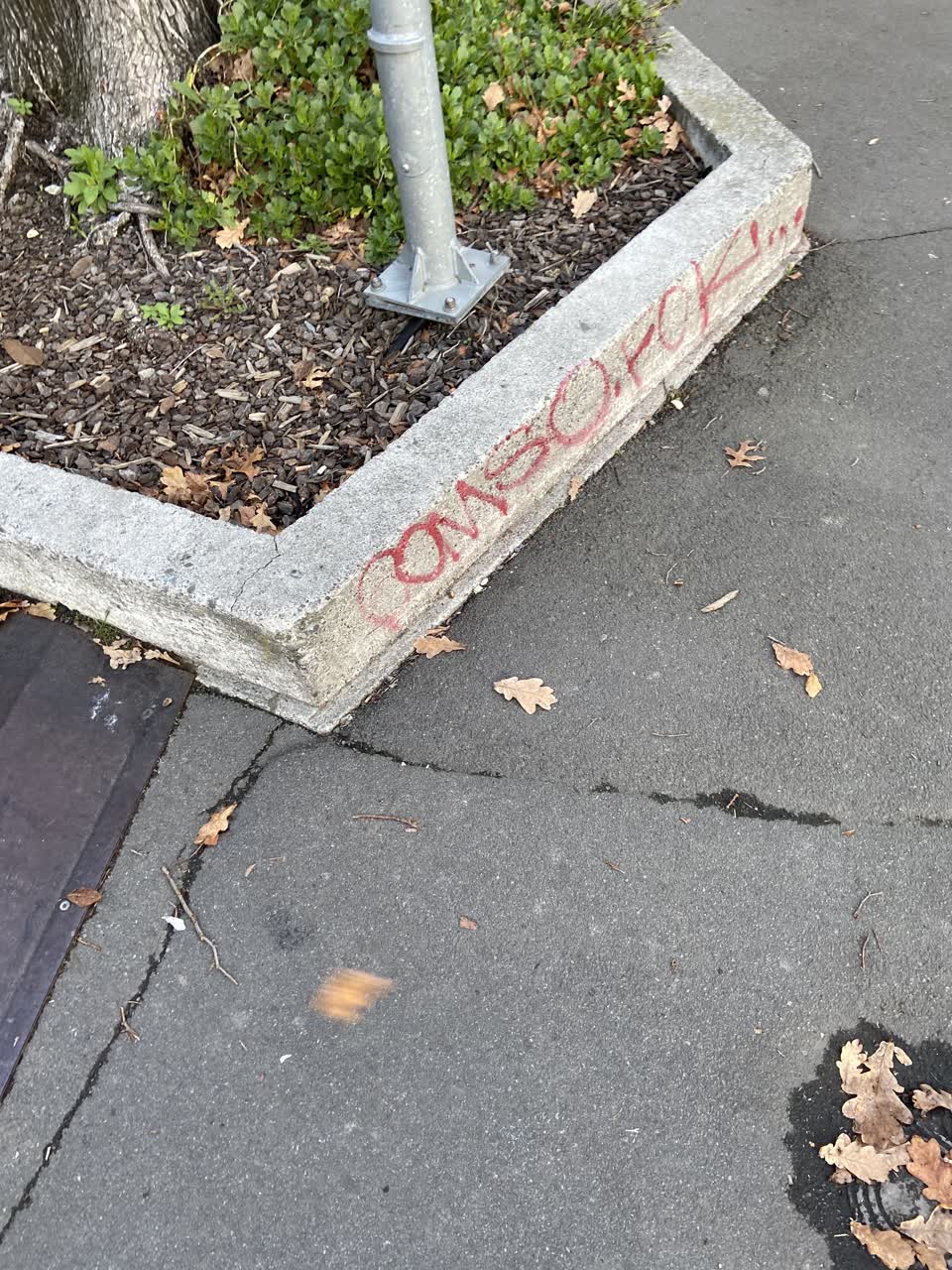 The photograph attached to this graffiti report