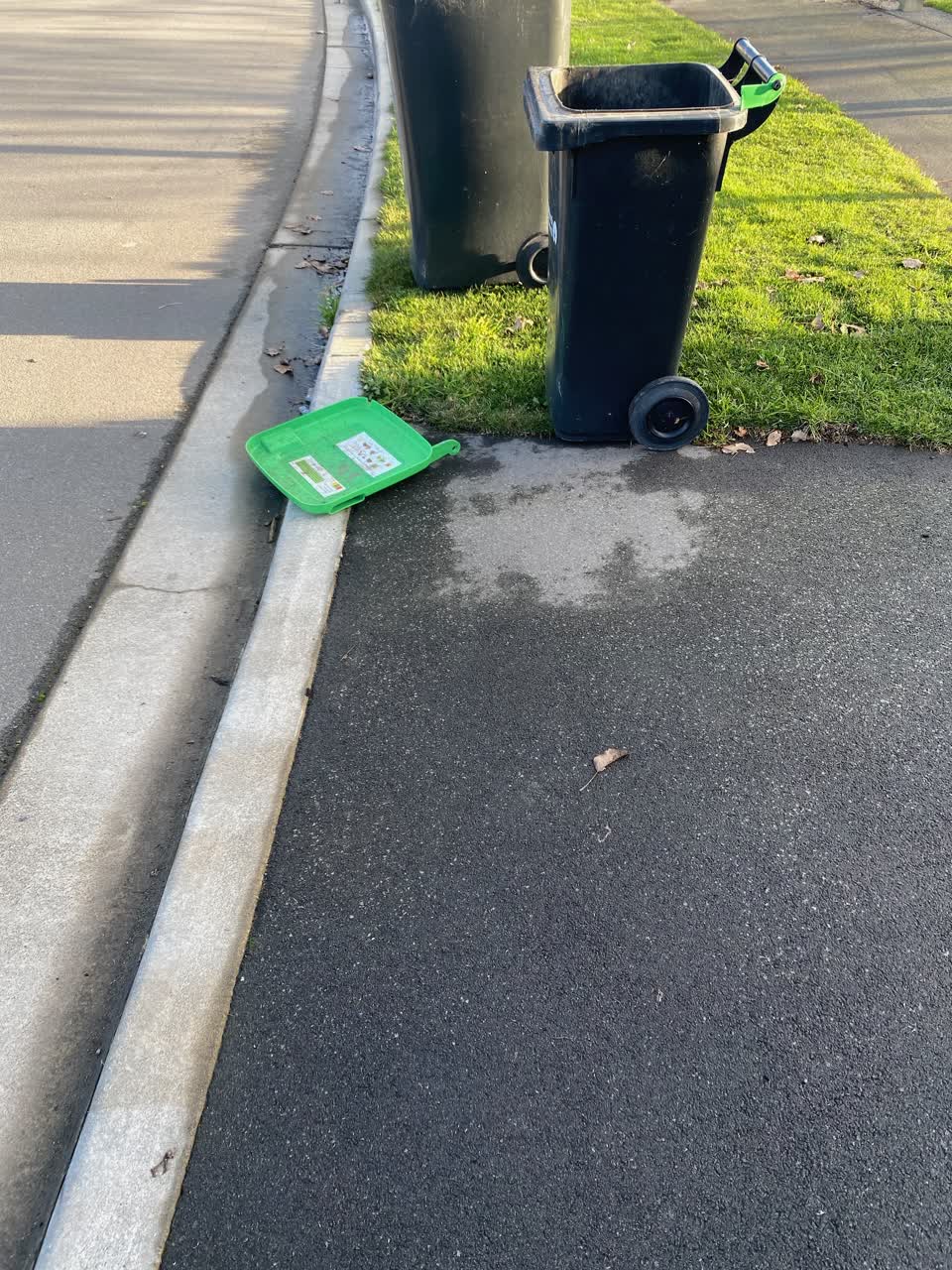 The photograph attached to this rubbish/recycling report