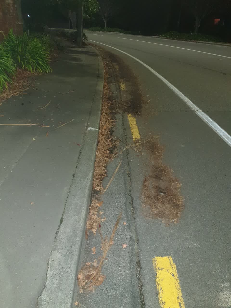 The photograph attached to this roading/streets report