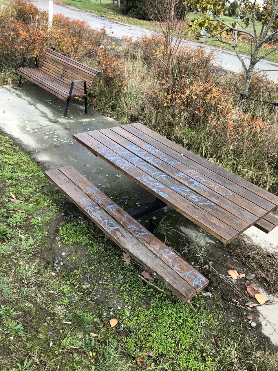 The photograph attached to this graffiti report