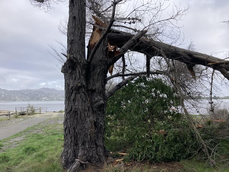 The photograph attached to this parks report