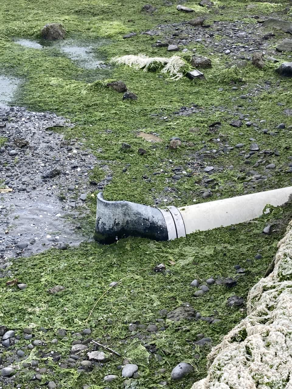 The photograph attached to this wastewater/stormwater report