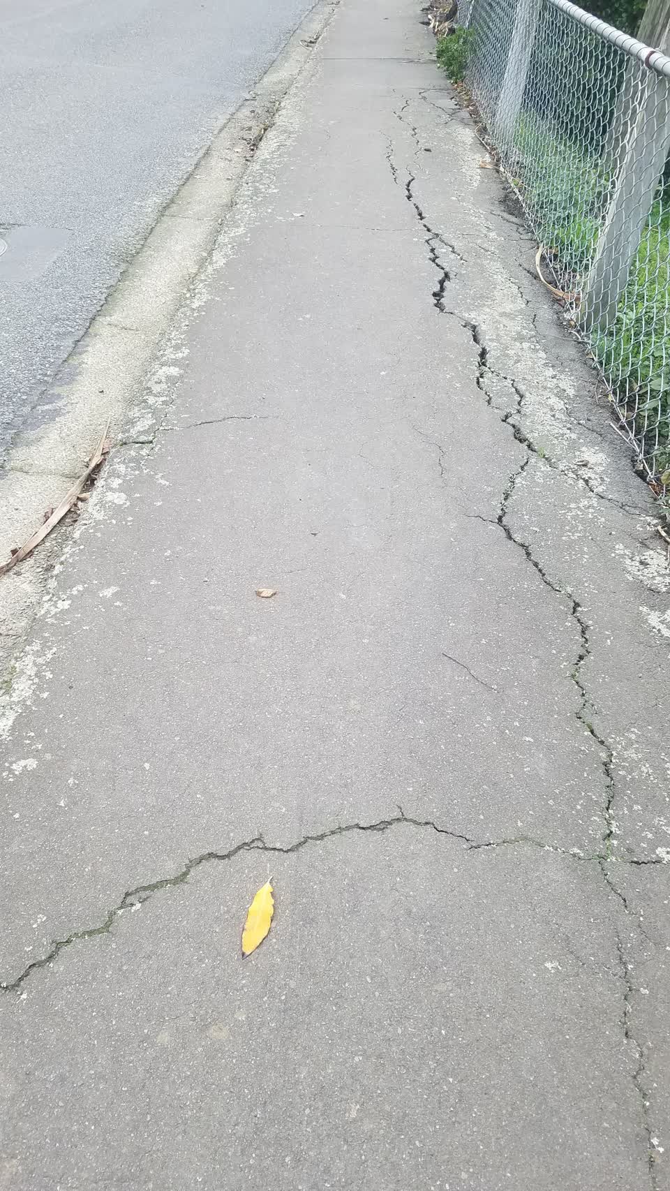 The photograph attached to this roading/streets report