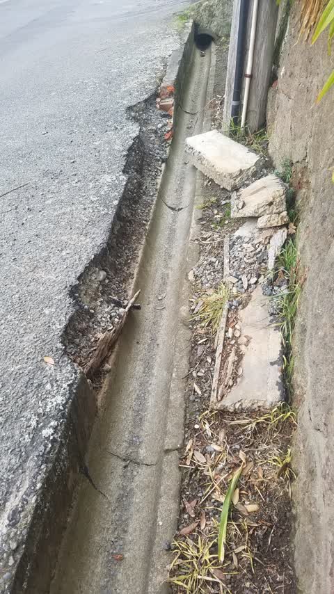 Roading/Streets, a report photo