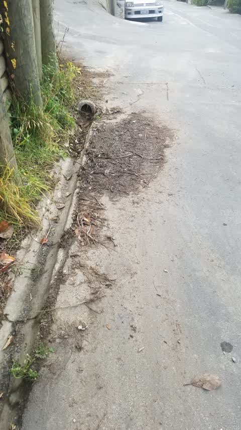 Roading/Streets, a report photo