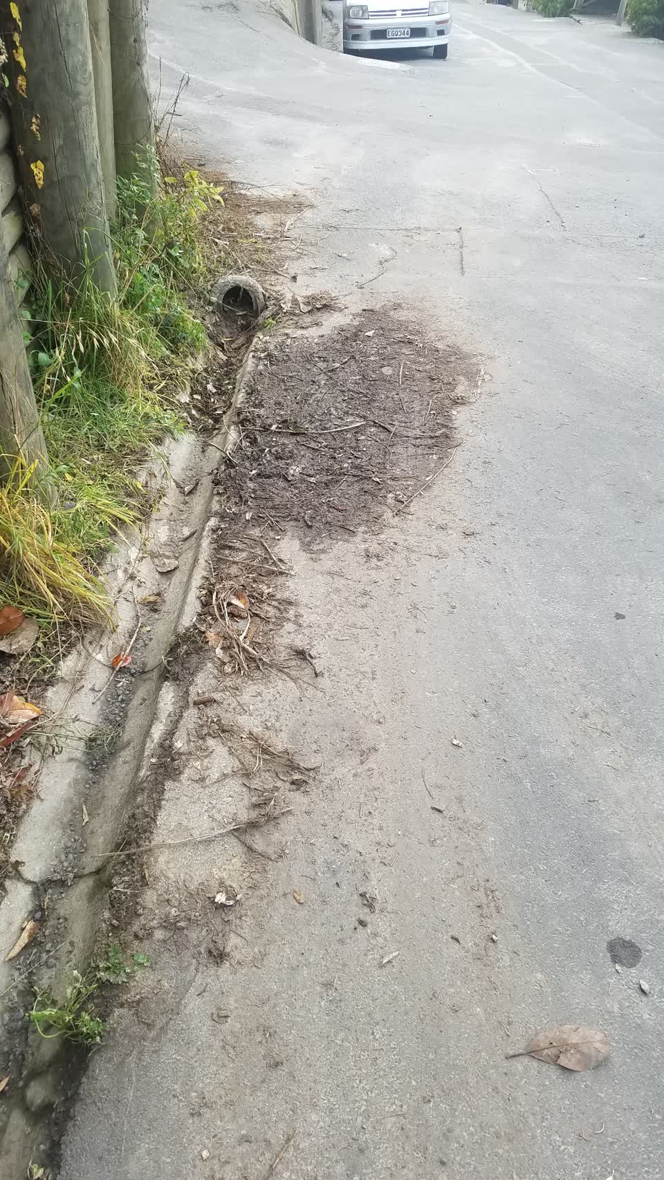 The photograph attached to this roading/streets report