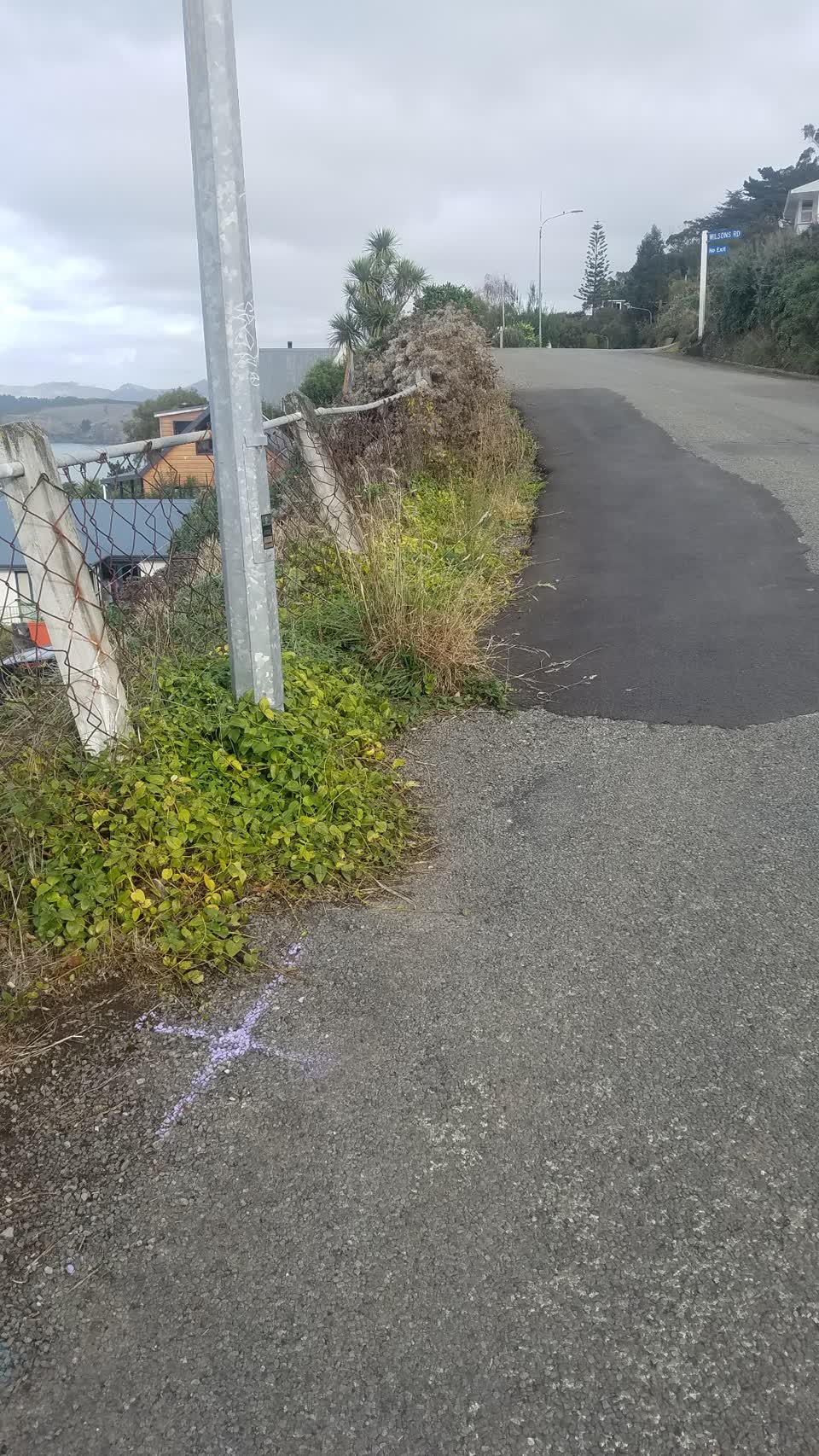 The photograph attached to this roading/streets report