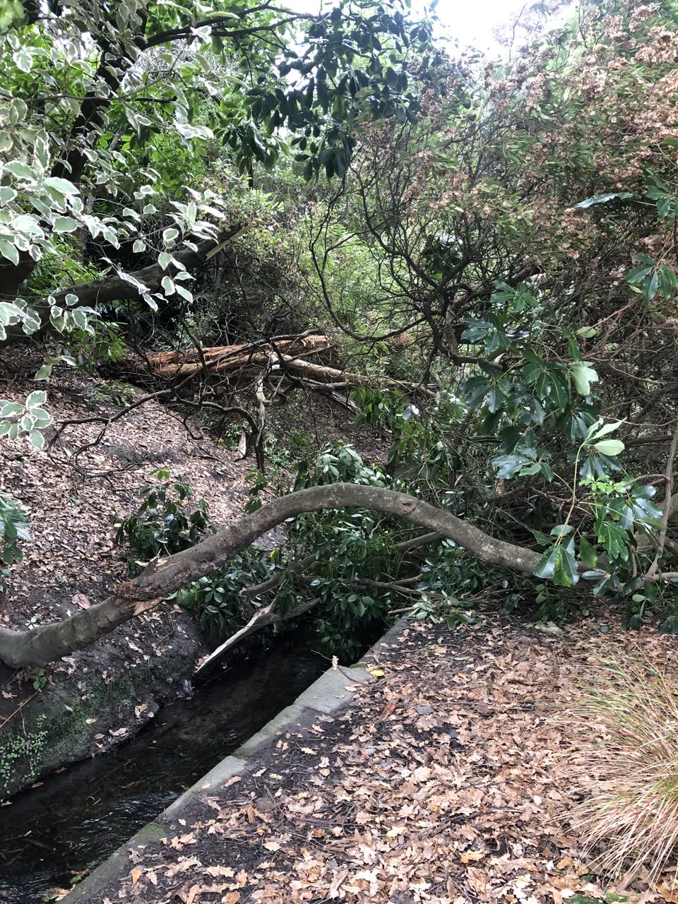 The photograph attached to this parks report