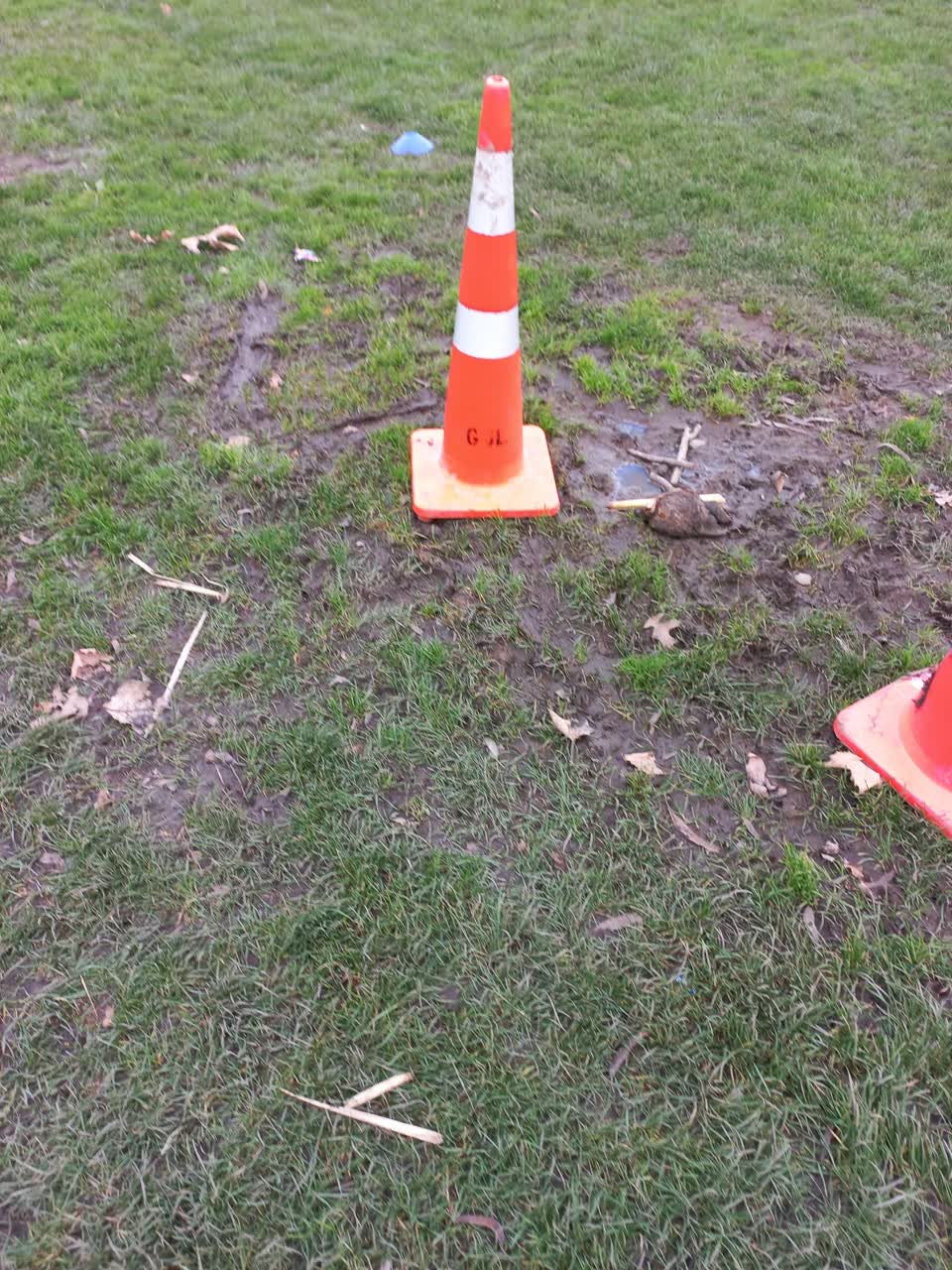 The photograph attached to this parks report