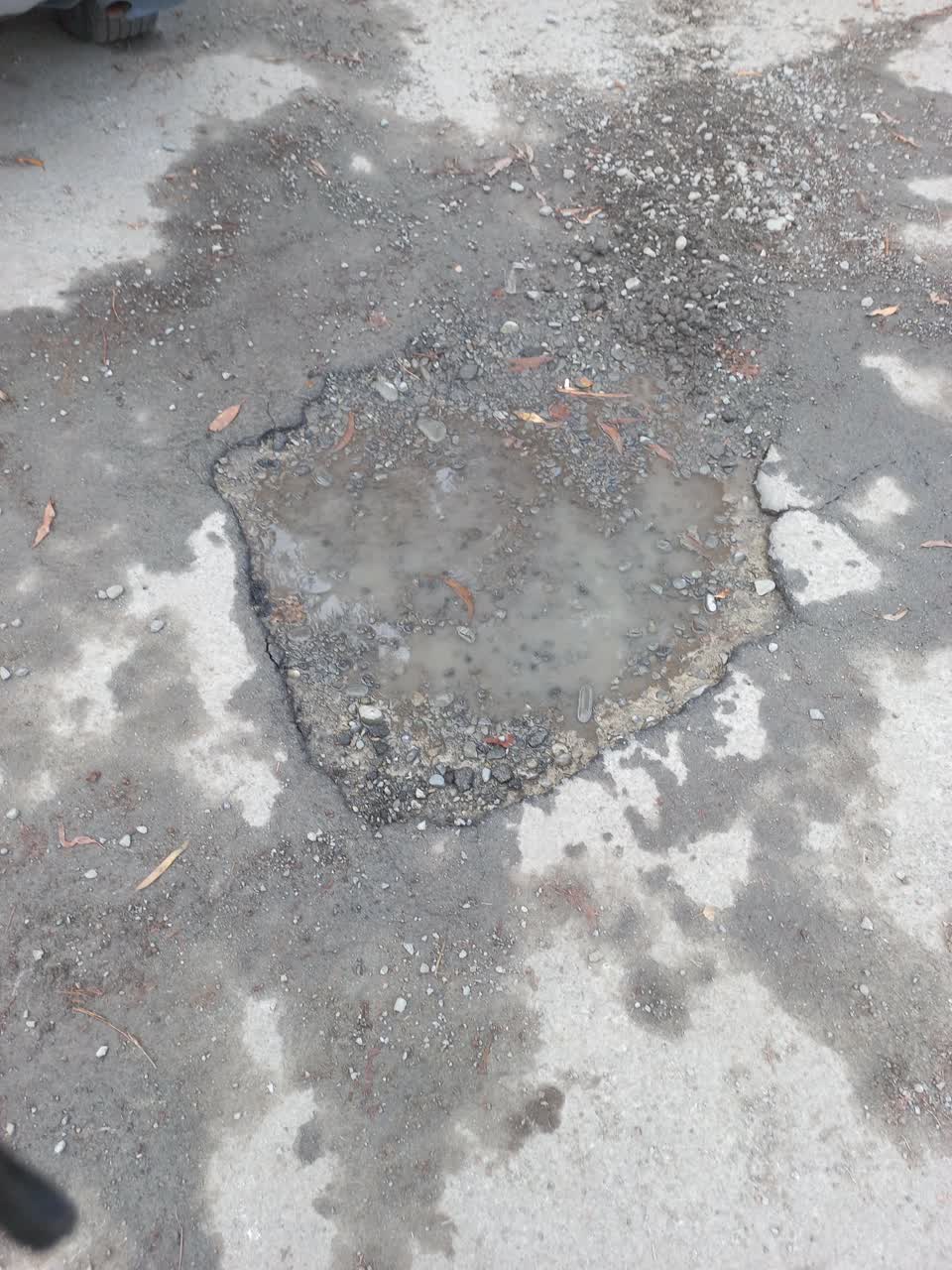 The photograph attached to this parks report