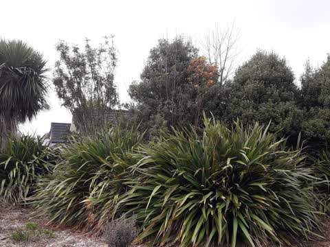 Parks, a report photo