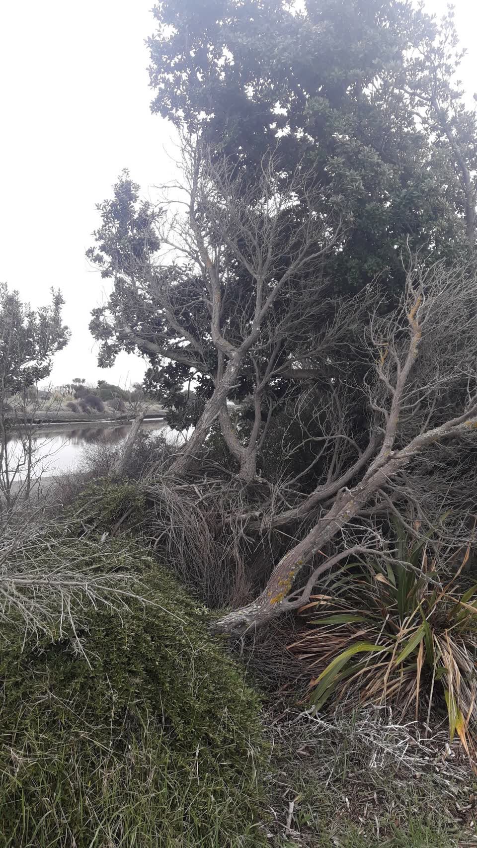 The photograph attached to this parks report