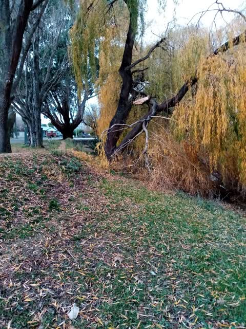 Parks, a report photo