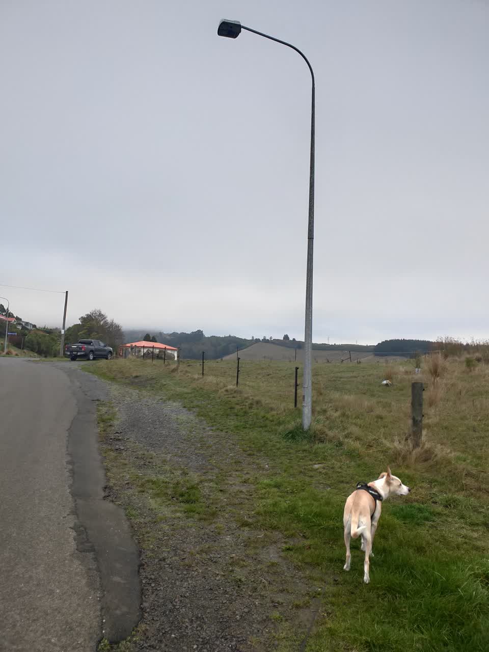 The photograph attached to this street light outage report