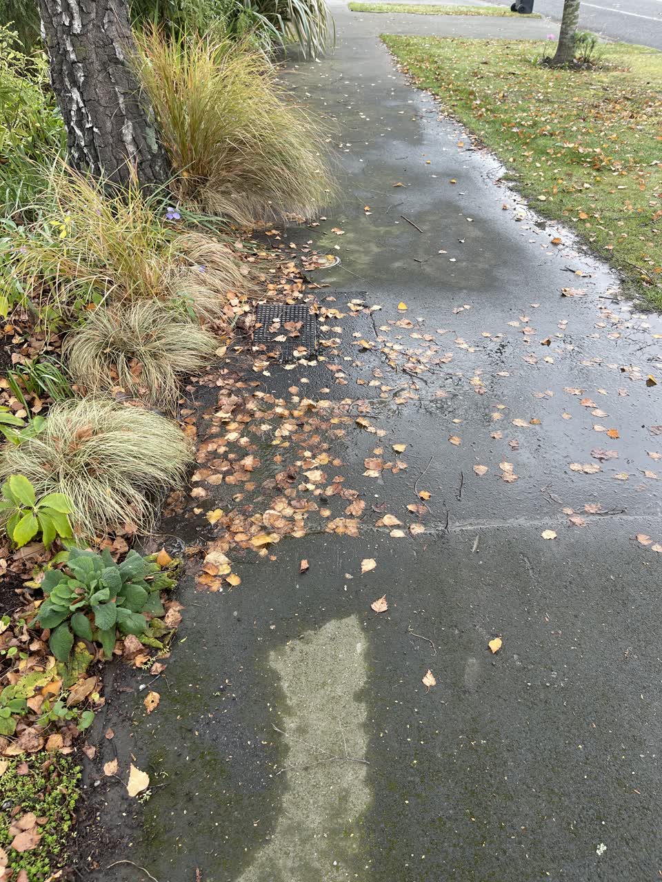 The photograph attached to this water leak report