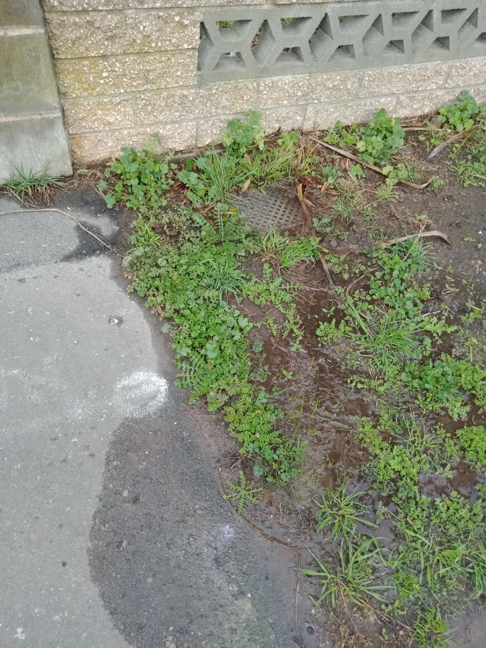 The photograph attached to this water leak report