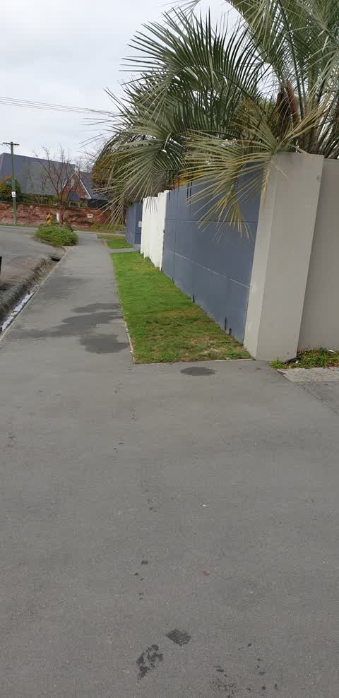 Roading/Streets, a report photo